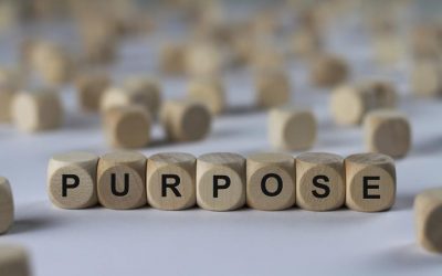 What’s Your Purpose?